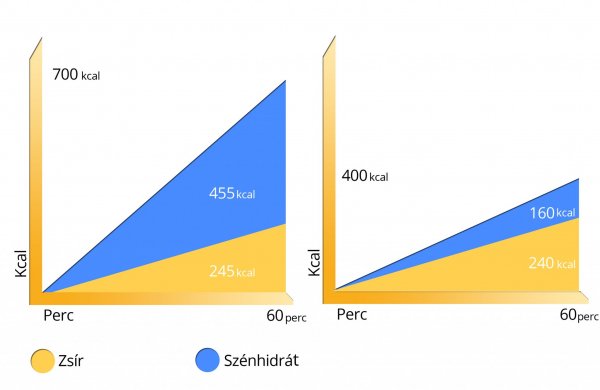 futás zsírégetés grafikon